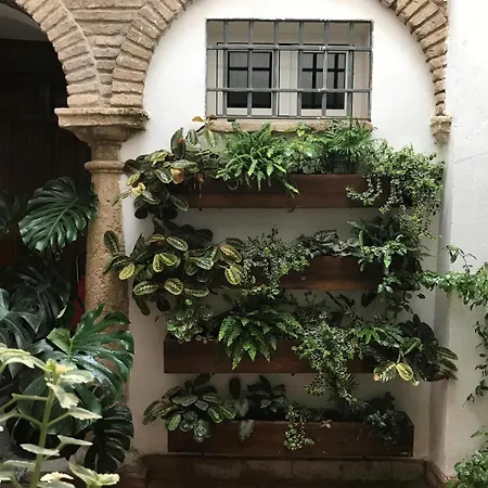 Holiday home La Casa Del Retablo Cordoba